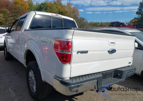 2010 Ford F-150 Fx4/Harley-Davidson/King Ranch/Lariat/Platinum/Xl/Xlt from USA, damaged, VIN 1FTFW1EV1AFD94416